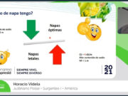 La napa, amenazas y oportunidades: experiencias de productores de Región Pampeana