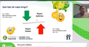 La napa, amenazas y oportunidades: experiencias de productores de Región Pampeana
