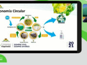 Agricultura circular: desafíos y oportunidades para su implementación. Experiencias de los Países Bajos y Argentina