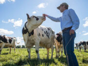 ¿Qué lechería queremos?, eje del Foro Lechero Argentina 2035