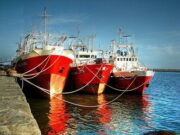 En siete meses el sector pesquero exportó por más de US$ 1.000 millones