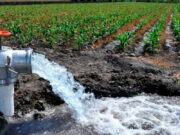 Productores sanjuaninos exigen que el agua de riego siga siendo gratuita