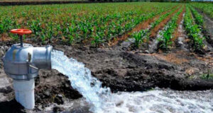 Productores sanjuaninos exigen que el agua de riego siga siendo gratuita