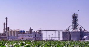 La producción de biocombustibles creció 11,7 % en el primer semestre del año