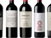 Vinos argentinos que eligió Decanter entre los mejores Cabernet Sauvignon de Sudamérica
