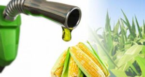 Biocombustibles: prevén un aumento del consumo mundial de hasta 8% en relación a 2020