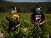 Más de 200 jóvenes de agricultura familiar, campesina e indígena se capacitan en agroecología