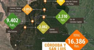 Córdoba y San Luis: la superficie de papa tardía 2021 alcanzó las 16.386 hectáreas