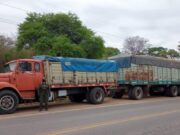 Decomisan 180 toneladas de granos transportados en seis camiones