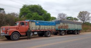 Decomisan 180 toneladas de granos transportados en seis camiones