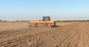 Cuáles son los ejes de la ley de Fomento al Desarrollo Agroindustrial