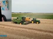 Se confirma “La Niña” a partir de octubre