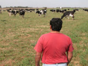 Sector Lácteo: la dirigencia argentina expone su visión