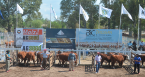 La Rural de San Luis se prepara para la nueva edición de la exposición agroganadera, de granja y comercial