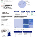 Complejo-Maíz-Redes