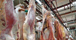 Cepo a la carne: el Consorcio ABC alertó por el impacto negativo en la industria y el empleo