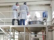 San Luis: investigadores producen un alimento saludable para poblaciones vulnerables
