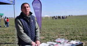 Peso de semilla, poder germinativo y material inerte, parámetros a tener en cuenta en la elección de una alfalfa