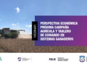 San Luis: analizarán las perspectivas económicas del maíz, la soja y la ganadería