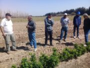 Reunión y asistencia de la SAFCI San Luis a productores de rosas de San Miguel