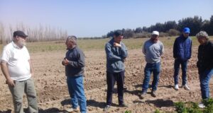 Reunión y asistencia de la SAFCI San Luis a productores de rosas de San Miguel