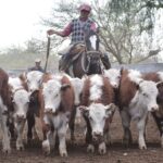 WhatsApp Image 2021-09-23 at 16.26.31 (2)