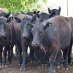 WhatsApp Image 2021-09-23 at 16.26.32 (2)