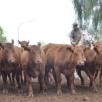 WhatsApp Image 2021-09-23 at 16.26.32 (3)