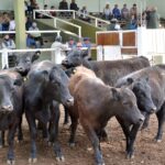 WhatsApp Image 2021-09-23 at 16.26.33 (1)