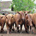 WhatsApp Image 2021-09-23 at 16.26.34