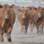 WhatsApp Image 2021-09-23 at 16.26.35 (1)