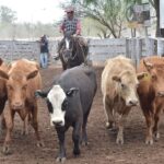 WhatsApp Image 2021-09-23 at 16.26.35