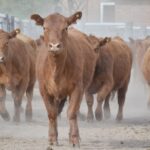 WhatsApp Image 2021-09-23 at 16.26.35 (2)