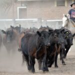 WhatsApp Image 2021-09-23 at 16.26.36 (2)