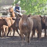 WhatsApp Image 2021-09-23 at 16.26.38 (1)