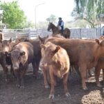 WhatsApp Image 2021-09-23 at 16.26.38