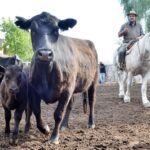 WhatsApp Image 2021-09-23 at 16.26.39 (1)