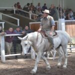 WhatsApp Image 2021-09-23 at 16.26.39 (2)