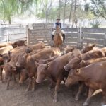 WhatsApp Image 2021-09-23 at 16.26.40