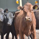 WhatsApp Image 2021-09-23 at 16.26.42 (3)