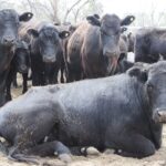 WhatsApp Image 2021-09-23 at 16.26.46