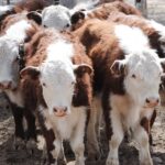 WhatsApp Image 2021-09-23 at 16.26.46 (2)