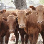 WhatsApp Image 2021-09-23 at 16.26.47 (1)