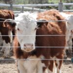 WhatsApp Image 2021-09-23 at 16.26.47