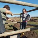 feedlot-freatímetro