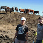 feedlot-santi-pila-estiercol
