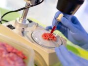 Nuevas tecnologías e innovación en la industria de la proteína animal