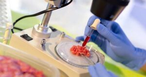 Nuevas tecnologías e innovación en la industria de la proteína animal