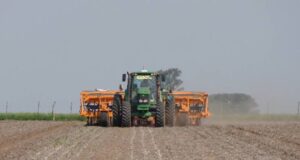 San Luis: arrancó la siembra de maíz y la intención de siembra creció 20 mil hectáreas