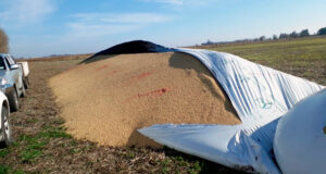 Río Cuarto: volvieron a romper silobolsas y crece la preocupación en entidades del agro